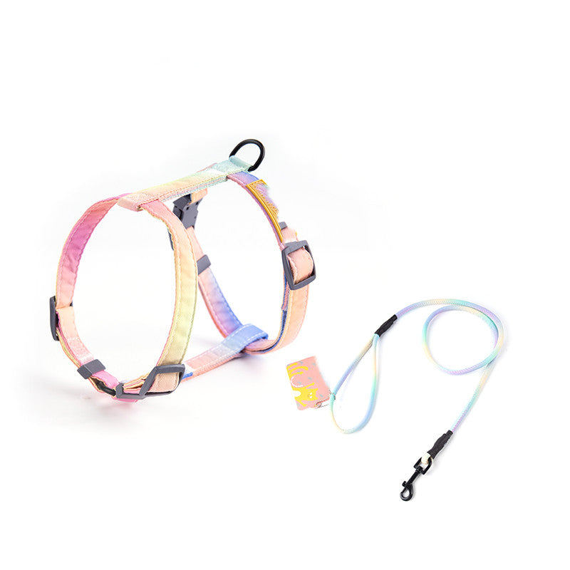 Fashion Anti-Escape Pet Leash Secure Walking Control