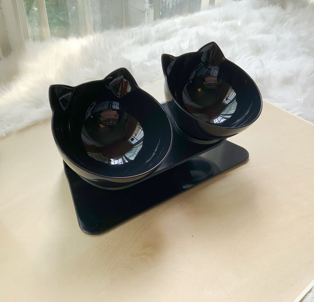 Non Slip Double Pet Bowl With Raised Stand Design