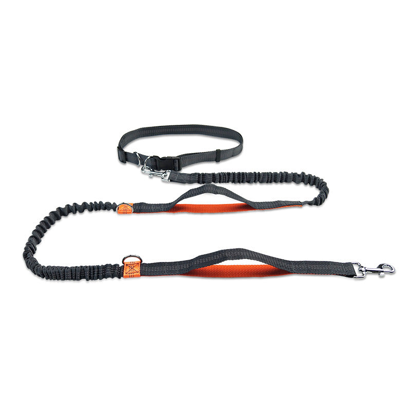 Multifunctional Reflective Double Pet Leash With Telescopic Design