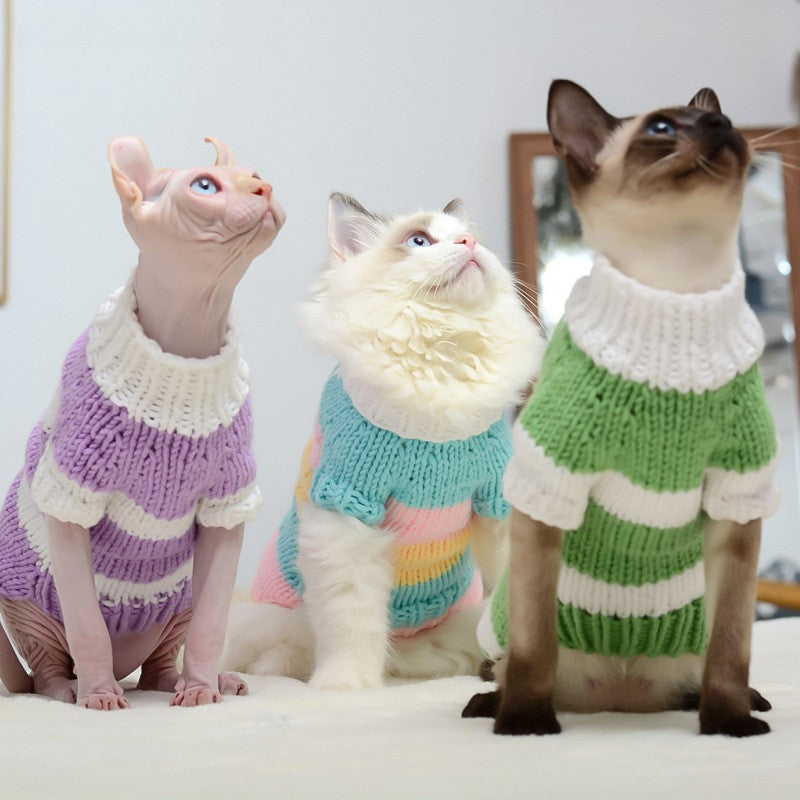 Warm Sweater For Hairless Pet Clothing