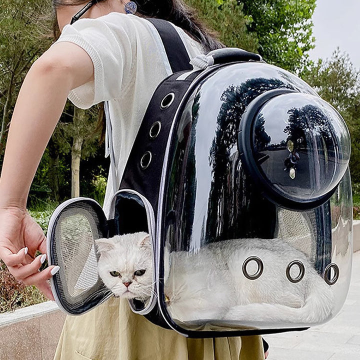 Transparent Skylight Breathable Pet Backpack With Large Capacity