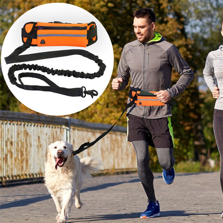 Pet Purse Leash For Convenient Hands Free Walking