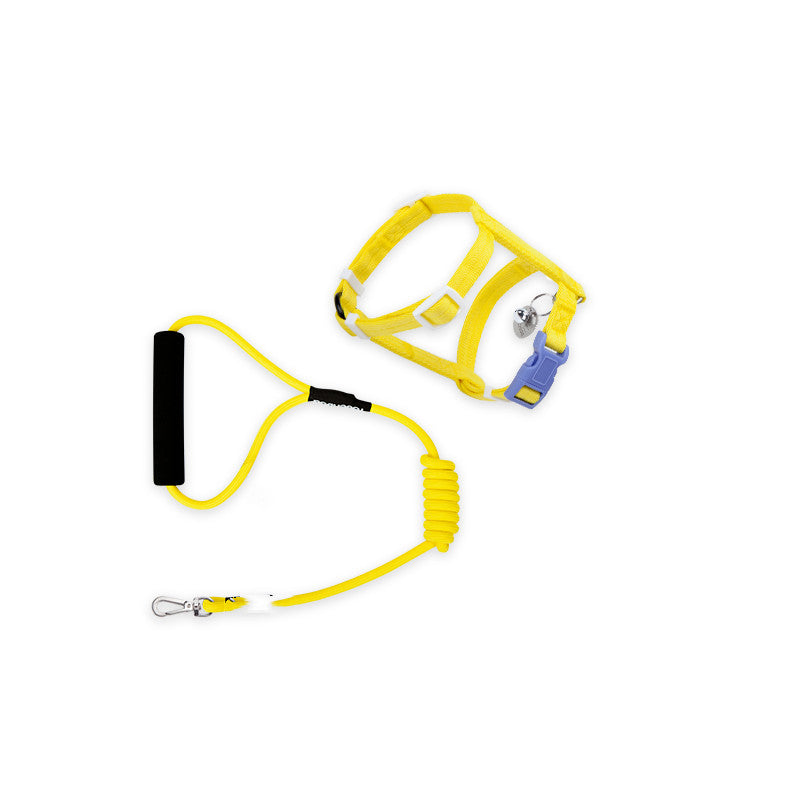Fashion Anti-Escape Pet Leash Secure Walking Control