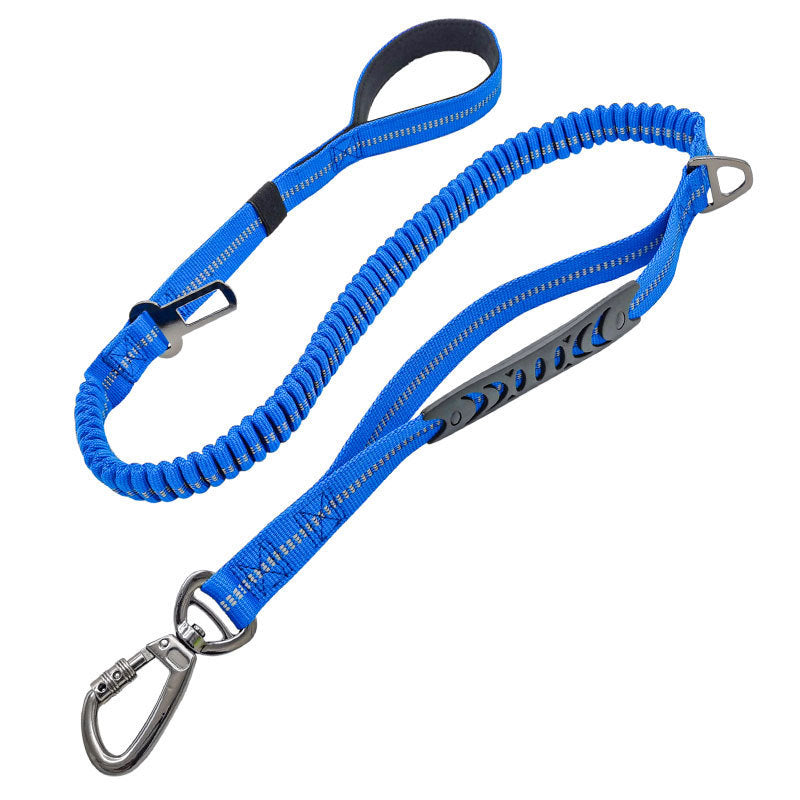 Fashion Retractable Rope Pet Leash Control Walking Lead