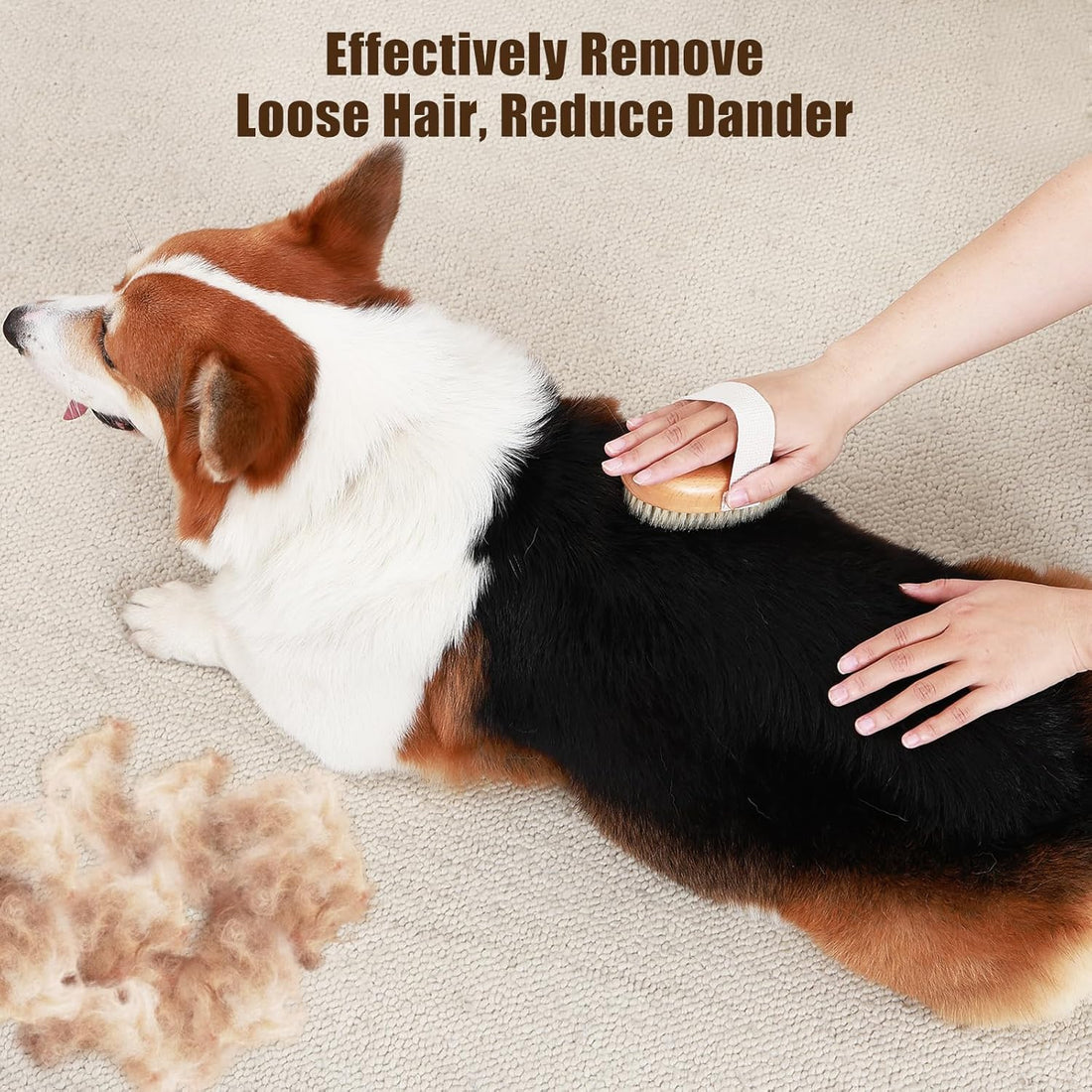 Soft Boar Bristle Pet Palm Grooming Brush Shedding Control Tool