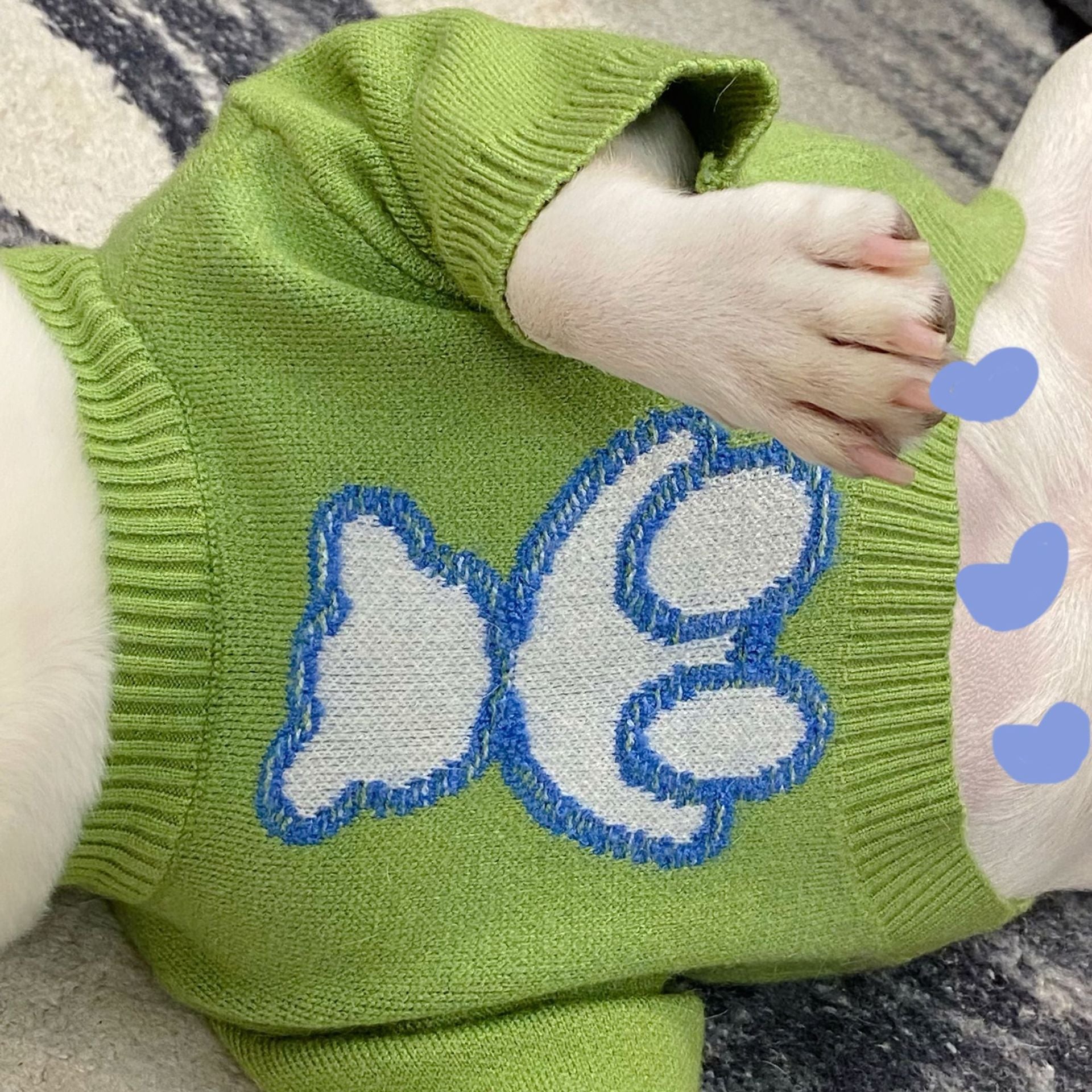 Autumn Winter Pet Sweater For Small Animal Wear