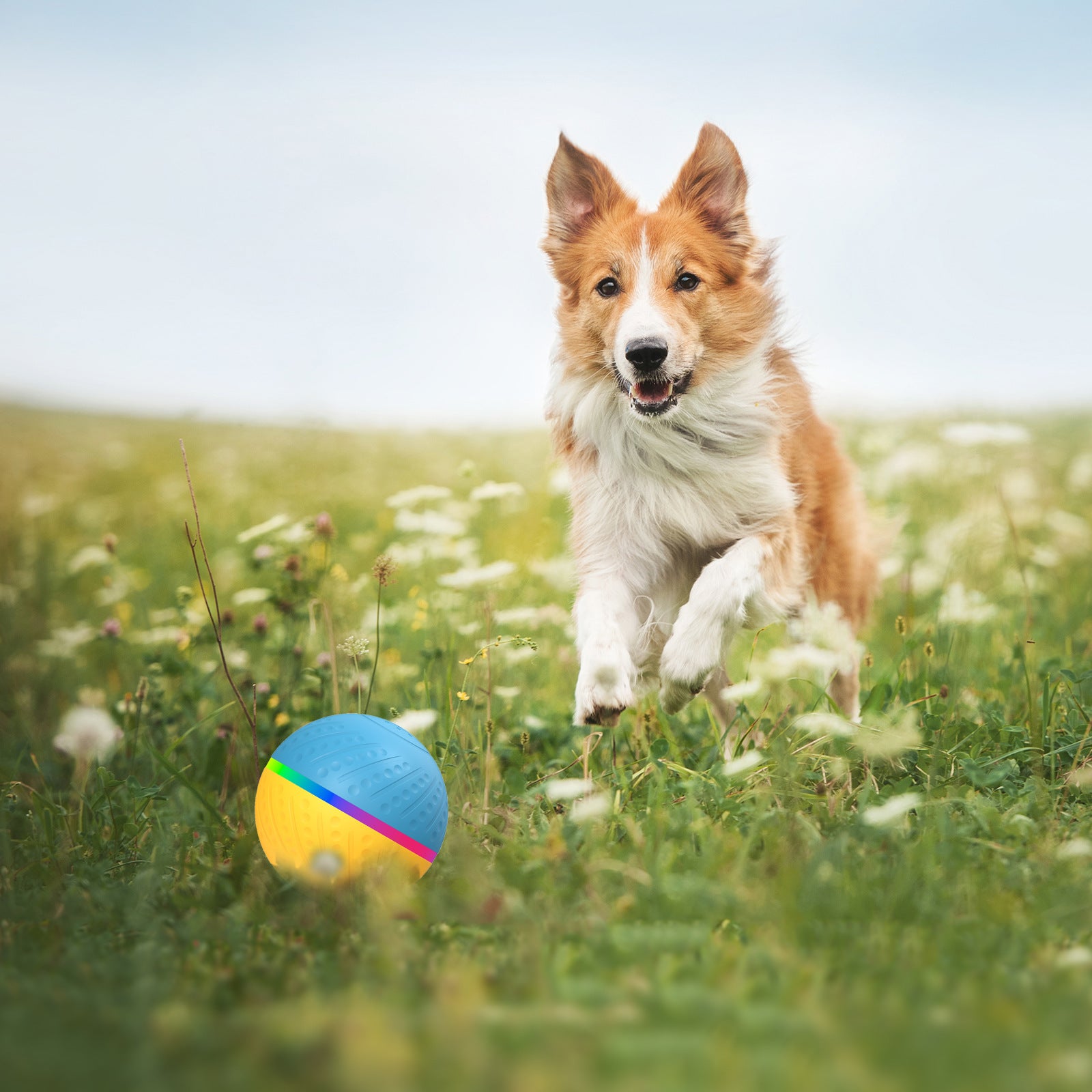 Bite Resistant Remote Control Interactive Intelligent Pet Toy Ball