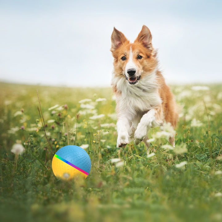 Bite Resistant Remote Control Interactive Intelligent Pet Toy Ball