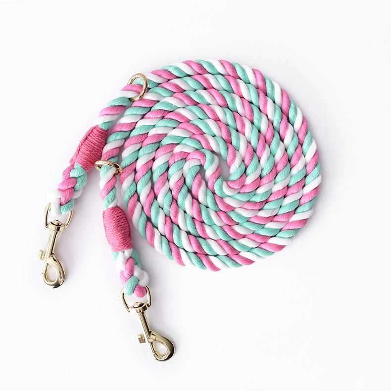 Dual Head Multifunctional Pet Leash For Walking Control