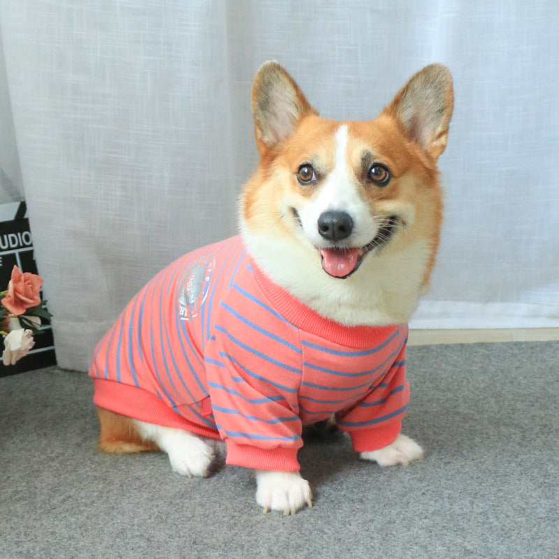 Pet Sweater Matching Outfit For Owners And Pets