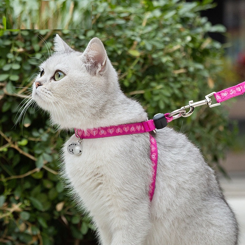 Pet Chest Strap Bell Vest With Adjustable Leash Harness