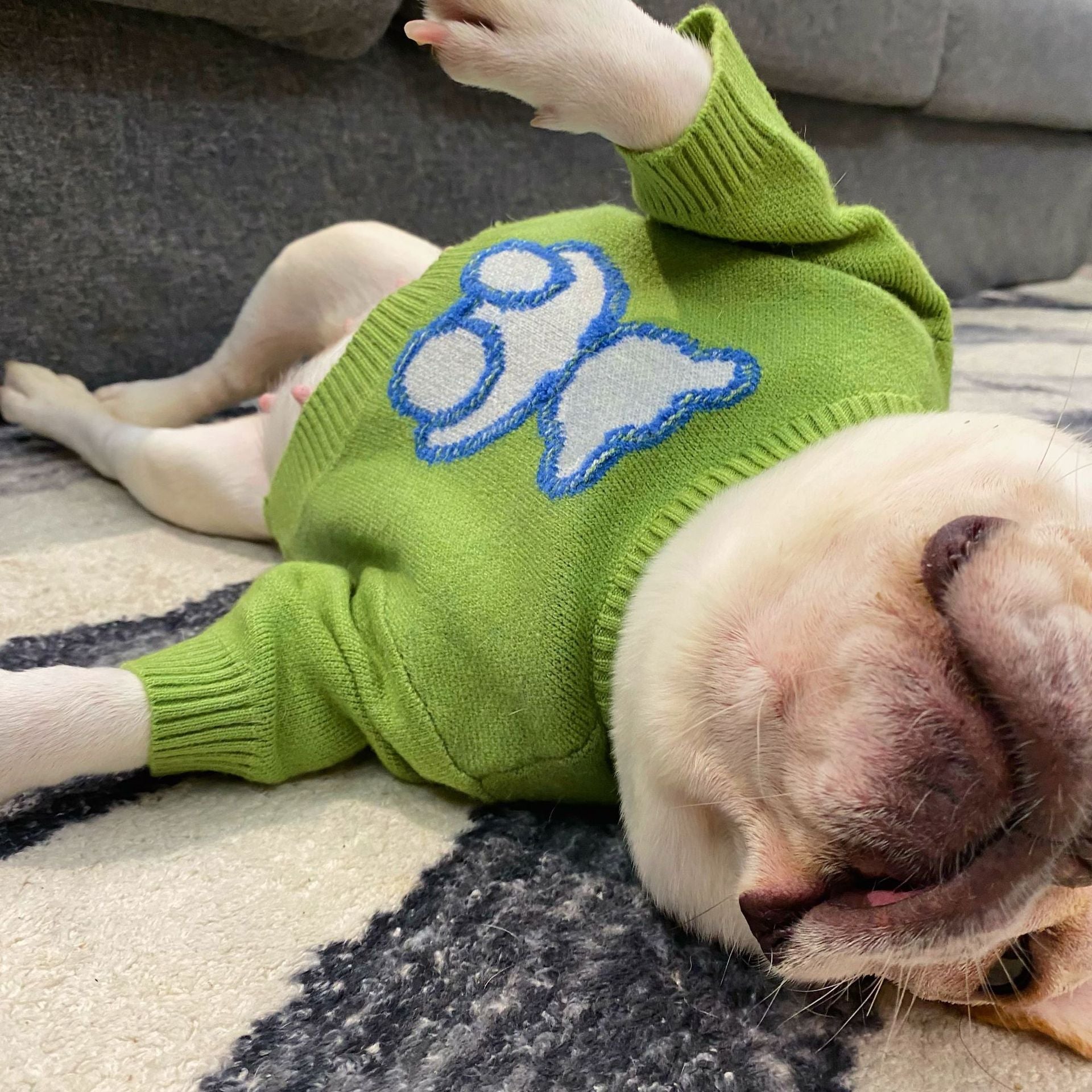 Autumn Winter Pet Sweater For Small Animal Wear