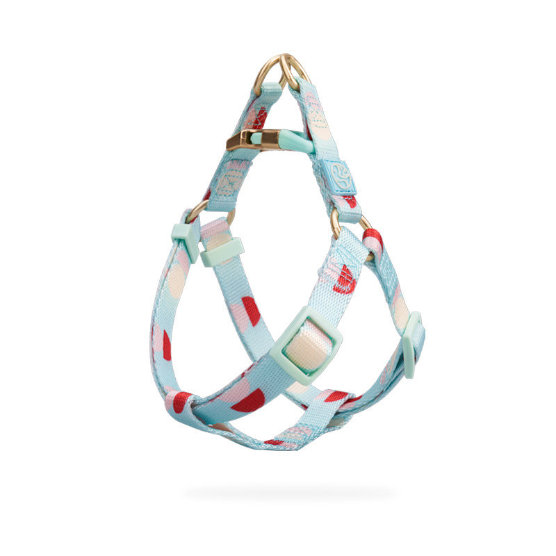 Fashion Y-Shaped Chest Strap Pet Leash Outdoor Control