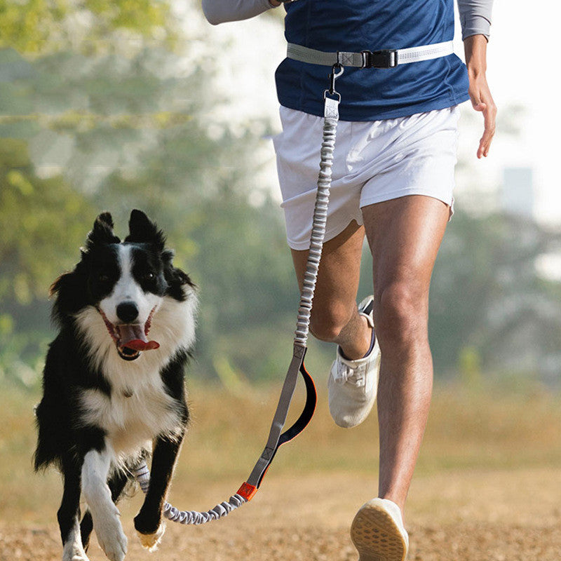 Outdoor Running Pet Leash Training Walking Rope